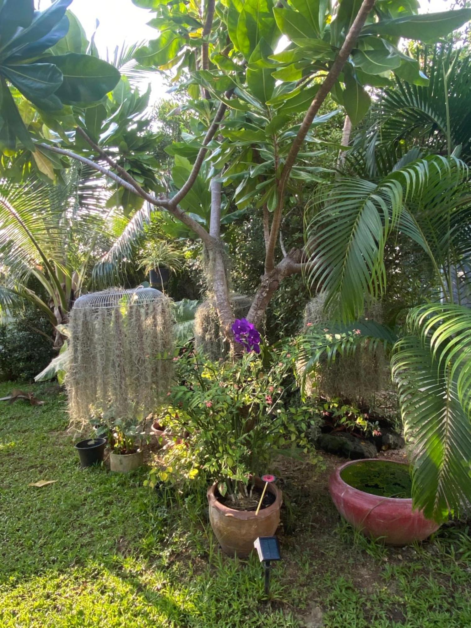 Phangan Hometown Resort - Adults Only Baan Tai Exterior foto